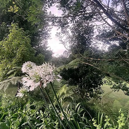 Hotel Caeaclaveles 4*