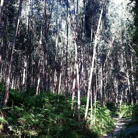 Hotel Caeaclaveles 4*