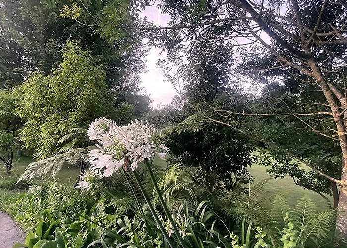 Hotel Caeaclaveles 4*